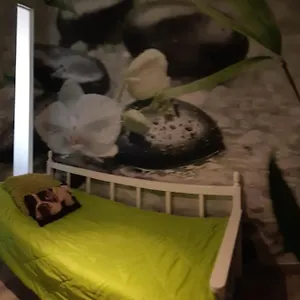  Apartamento Club Paraiso